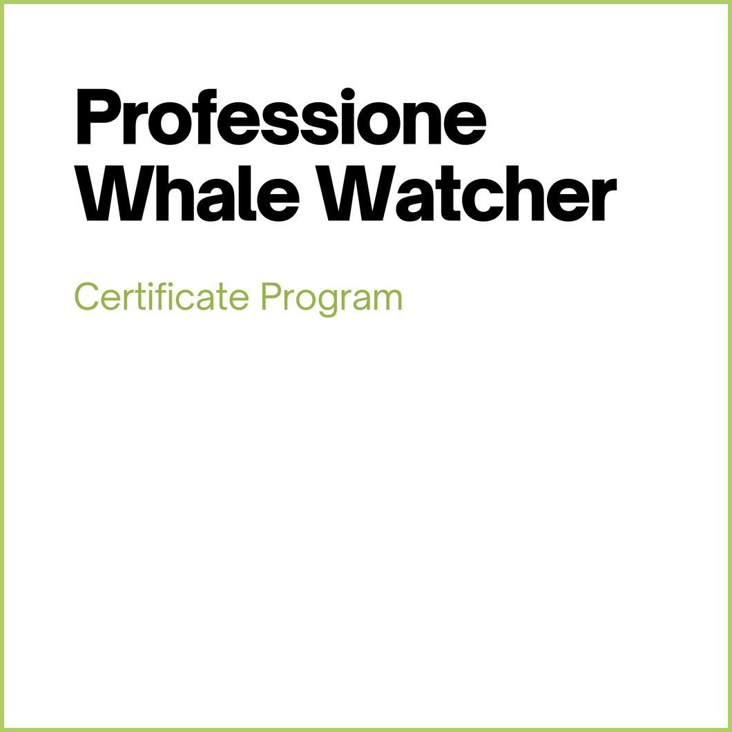 Professione Whale Watcher - 1a rata