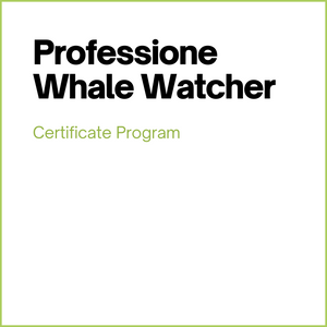 Professione Whale Watcher